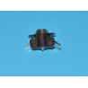 580434.jpg