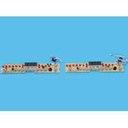 900976.jpg