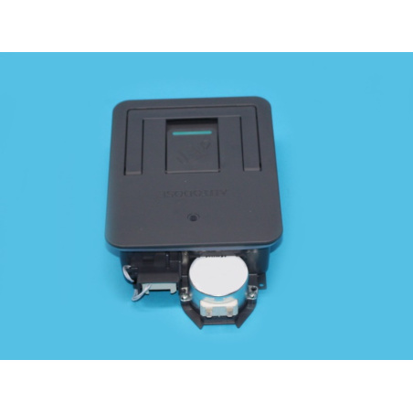922769.jpg